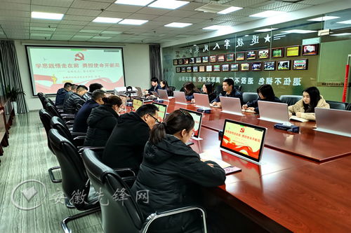 滁州市南谯区龙蟠街道 抓实 三个环节 打造非公党建排头兵
