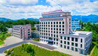 丽水九县 市 区 第一 龙泉科技进步综合评价 成绩单 亮眼