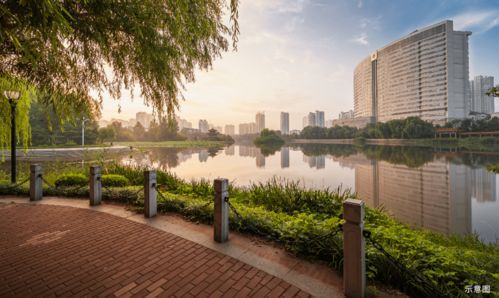 新市府进入主城时代 城市别墅大势所向