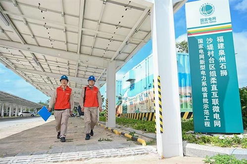 国网石狮市供电公司 逐绿前行探 新 路 电 亮乡村好风景