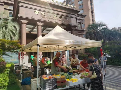 高温天,这个市集把平价菜 优质农产品送到居民家门口