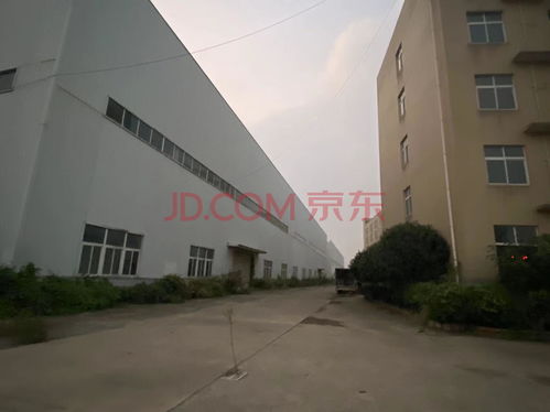 武汉市一家工厂破产拍卖,被一家成立没多久新公司3000万拿下