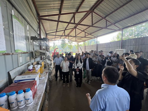 2023年绿色食品检查员 标志监督管理员暨名特优新农产品跟踪管理员培训班在洛阳市举办凤凰网河南