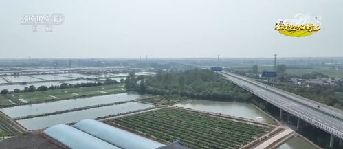 各地特色农产品产销两旺 映出金秋好 丰 光