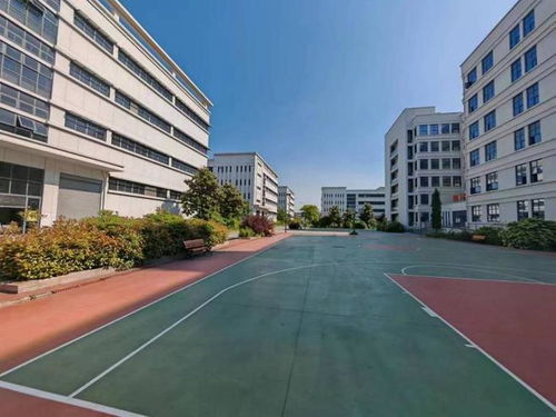 芜湖市一个大型电子厂第二次拍卖,被杭州一家公司1.5亿买下