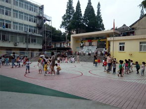 教科学子调研滁州市幼儿园课程体系建设情况
