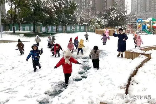 最美的雪,落在校园
