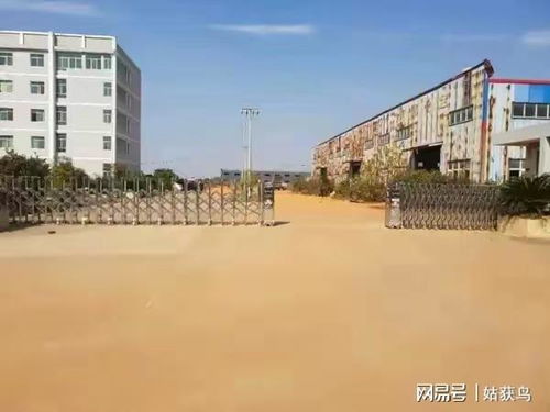 宜春市的一座大型工厂第三次拍卖,价格降到634.9万元也没人要
