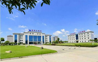 湖北日报头版头条 仙桃企业从 汗水型 向 智慧型 转变