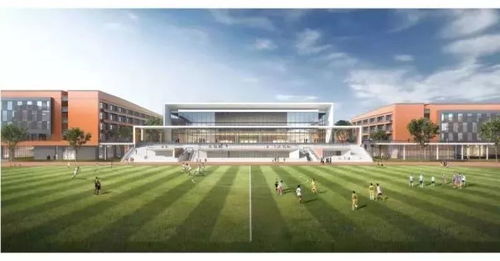 占地318亩 滁州这里将新建一所国际学校,效果图详戳