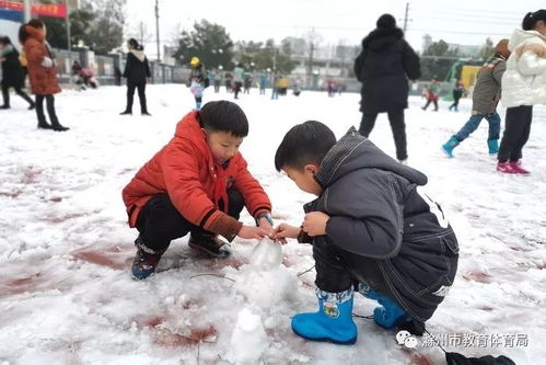 最美的雪,落在校园