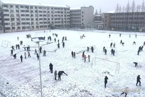 最美的雪,落在校园