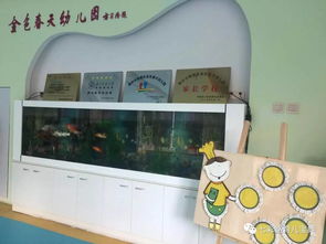 滁州市南谯区金色春天幼儿园开展第五阶段幼儿来园体验活动