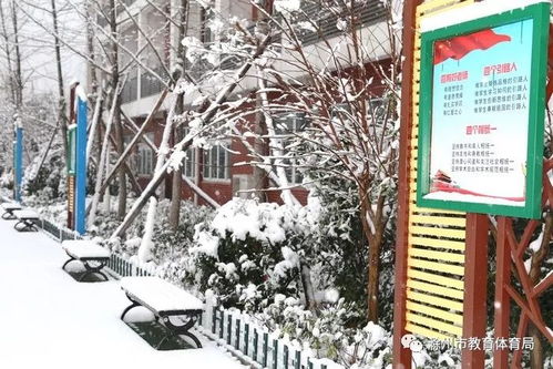 最美的雪,落在校园
