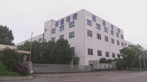 民营企业大走访大调研大服务 衢州 司法高效服务促进企业快发展