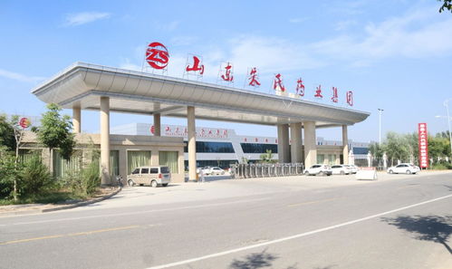 山东朱氏药业集团 膏药贴产品市场的领导者