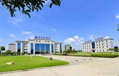 湖北日报 仙桃新材料产业出击 蓝海