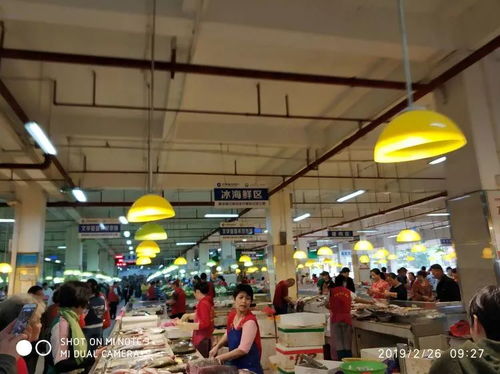 海口市龙华区食药监局举办农贸市场食品安全规范化建设培训班