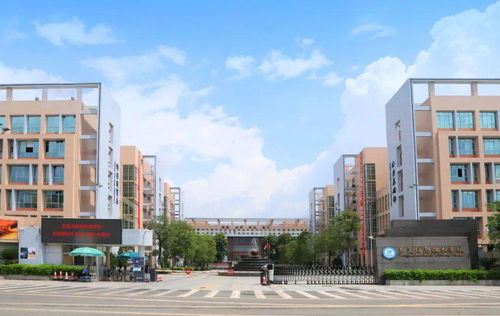 年薪20万 东莞信息技术学校招教师公告