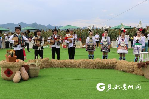 滁州市龙蟠幼儿园 丰收节上的文化盛宴与童心体验