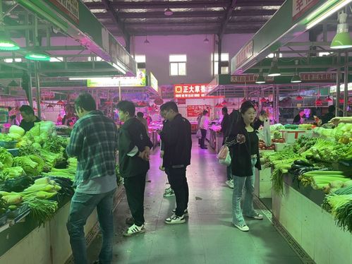 勇闯上海创业，打响航盛品牌——访上海航盛农副产品综合交易市场董事长张福军